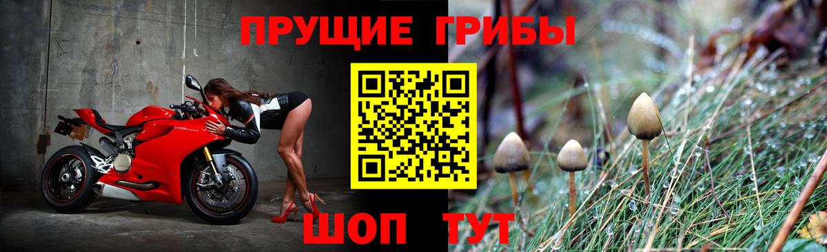 Белебей  купить наркотики сайты  Вход с VPN  Псилоцибиновые грибы Cubensis 